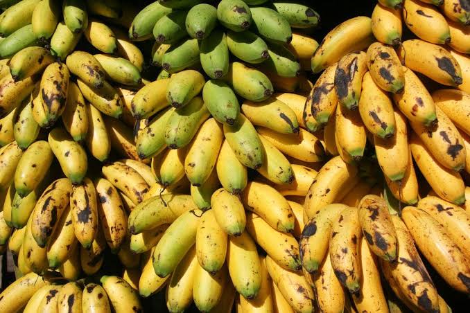 A whole lot of bananas — the more, the merrier